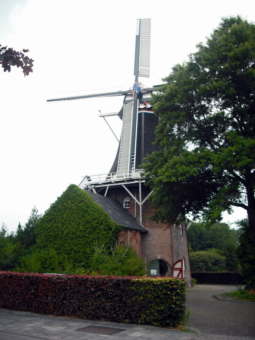 Die Berg molen - Berg Windmhle in Winschoten