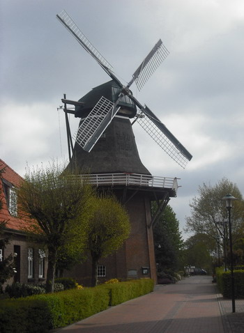 Windmühle und Galerieholländer in Scharrel.