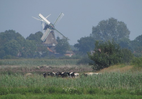 Windmühle Wiegboldsbur