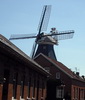 Windmühle in Ditzum
