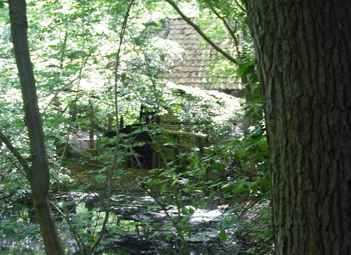 Die Wassermühle im Wald