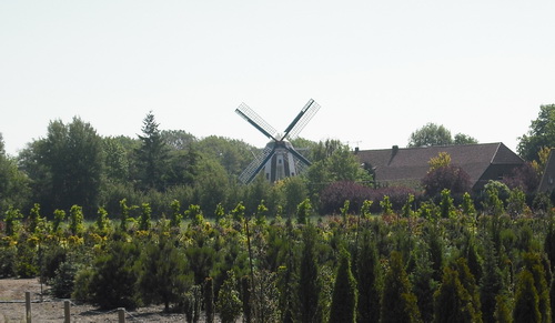 Wallholländer-Windmühle in Ammerländer Landschaft